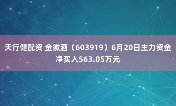 天行健配资 金徽酒（603919）6月20日主力资金净买入563.05万元