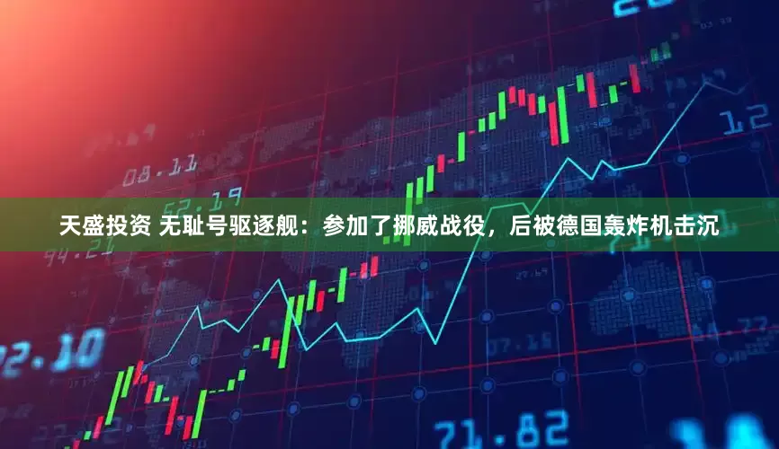 天盛投资 无耻号驱逐舰：参加了挪威战役，后被德国轰炸机击沉