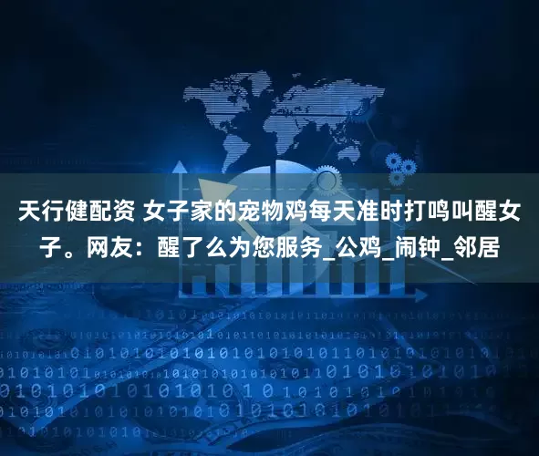 天行健配资 女子家的宠物鸡每天准时打鸣叫醒女子。网友：醒了么为您服务_公鸡_闹钟_邻居